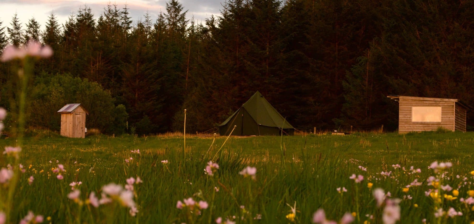 Wild Sauna