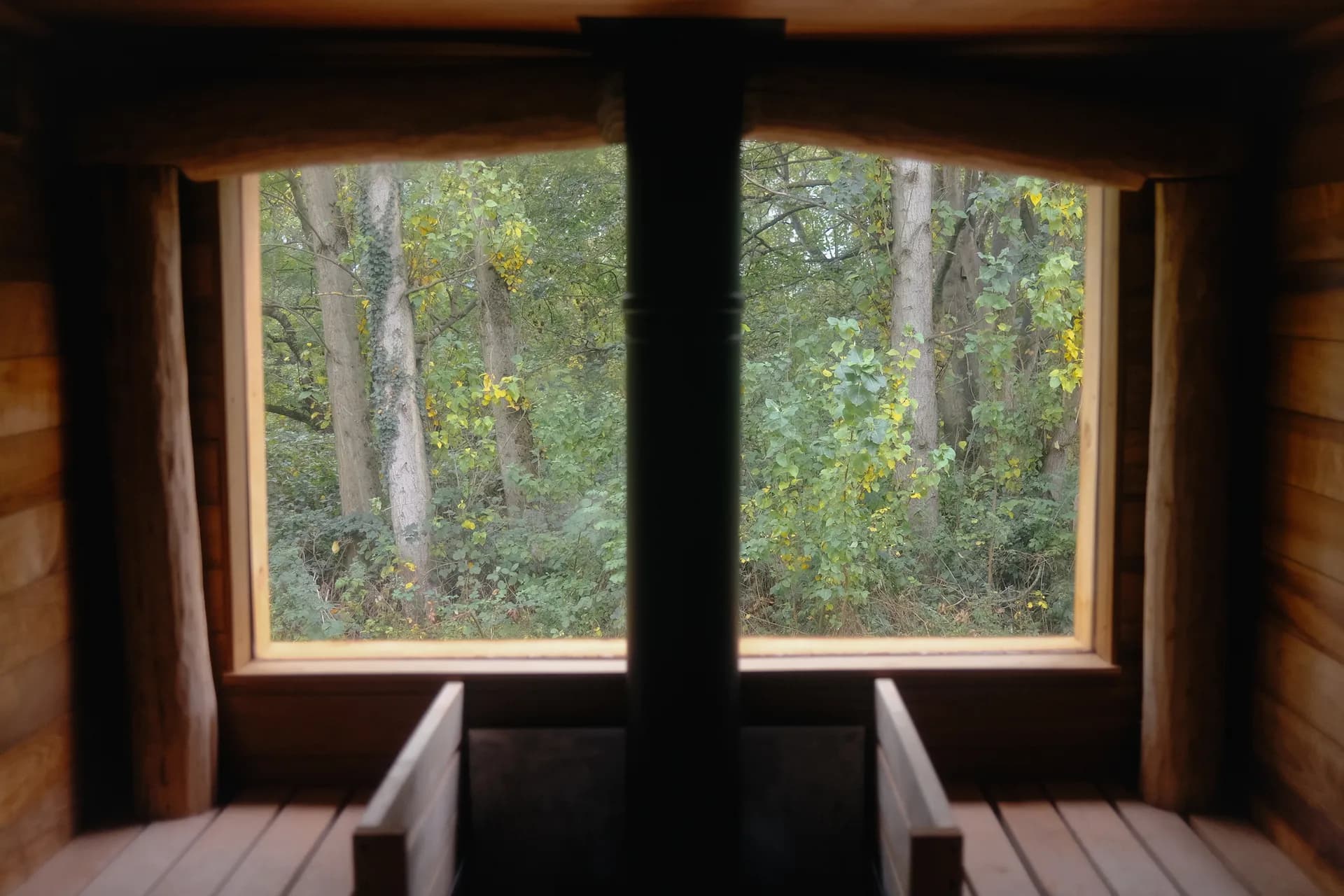 Sauna book club