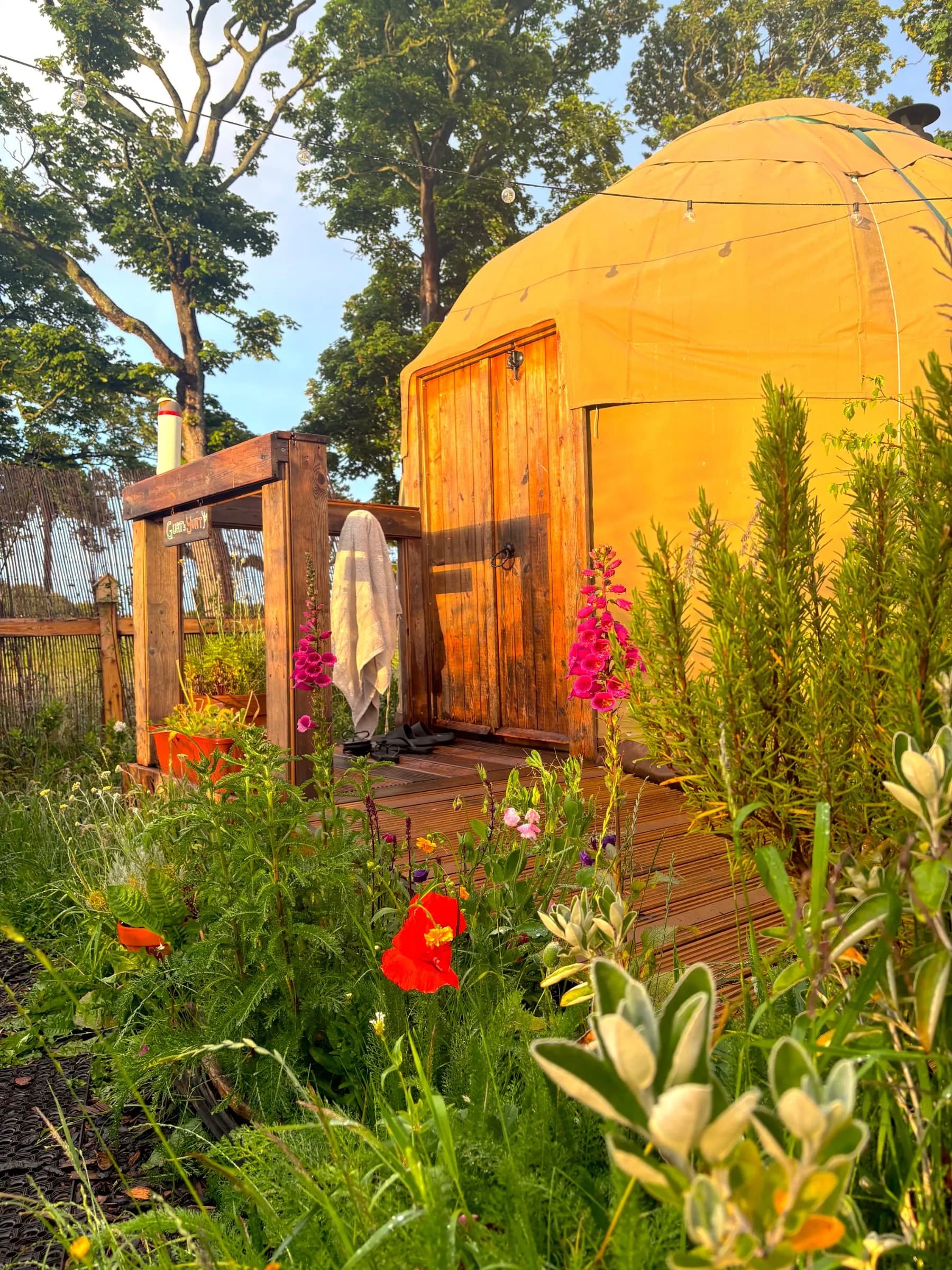 Yoga & Sauna with Sonny - Slow Flow, Deep Roots