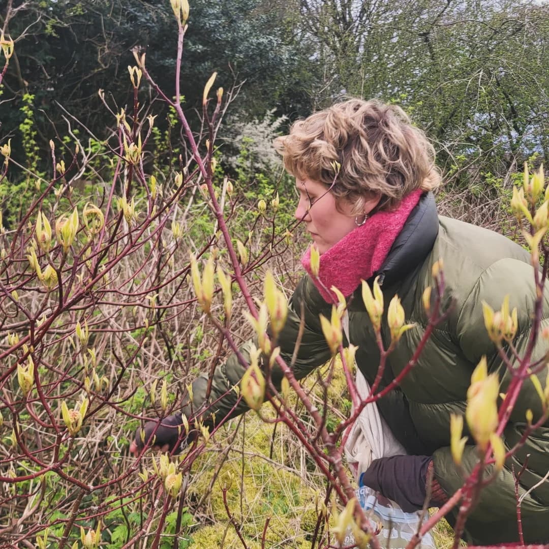 Plant Folk – herbal sauna
